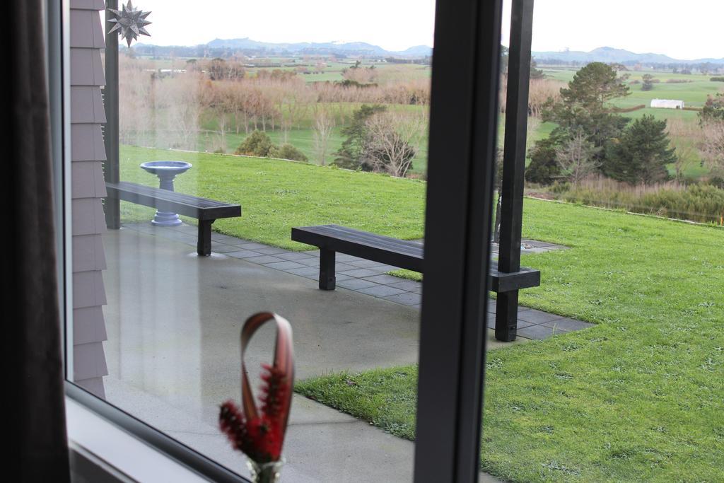 Birds Eye View Bed And Breakfast Waihi Ngoại thất bức ảnh