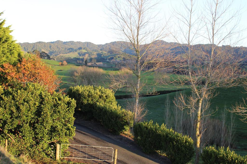 Birds Eye View Bed And Breakfast Waihi Ngoại thất bức ảnh