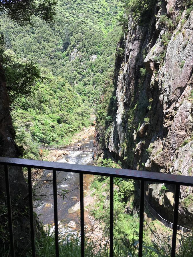 Birds Eye View Bed And Breakfast Waihi Ngoại thất bức ảnh